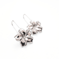 Load image into Gallery viewer, Earrings of Dawn