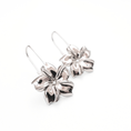 Load image into Gallery viewer, Earrings of Dawn
